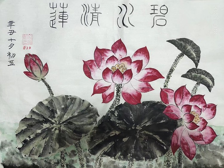 江秋月 碧水清莲
