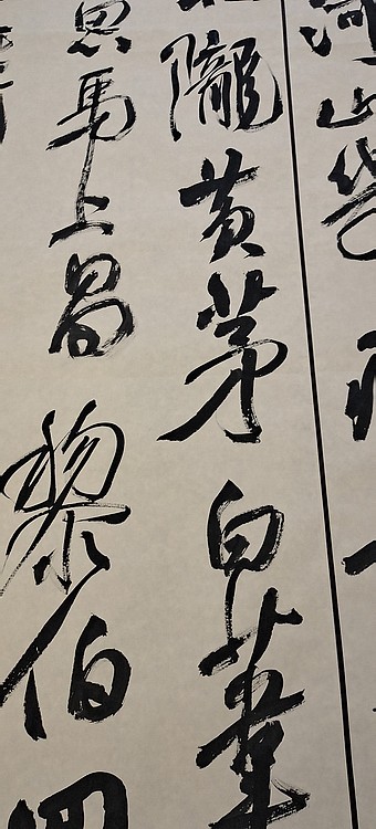江苏省青年书法家协会会员  淮河居士 宋望元量秦岭