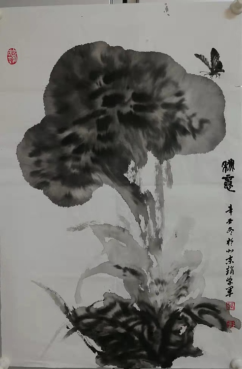 赵学军 秋意