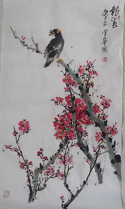 金华 报春49