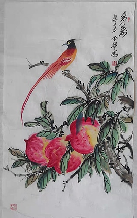 金华 多寿51