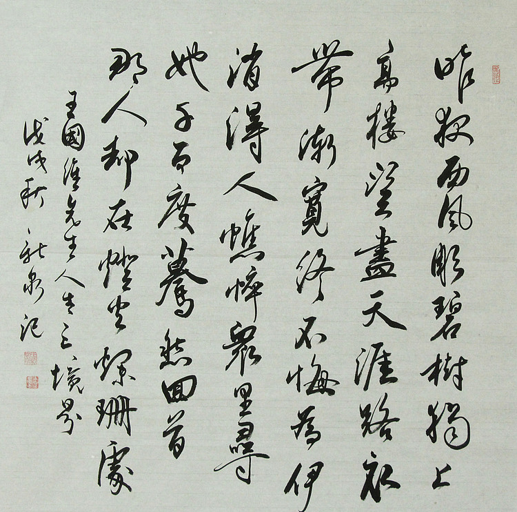 中国书法家协会会员 王新泉