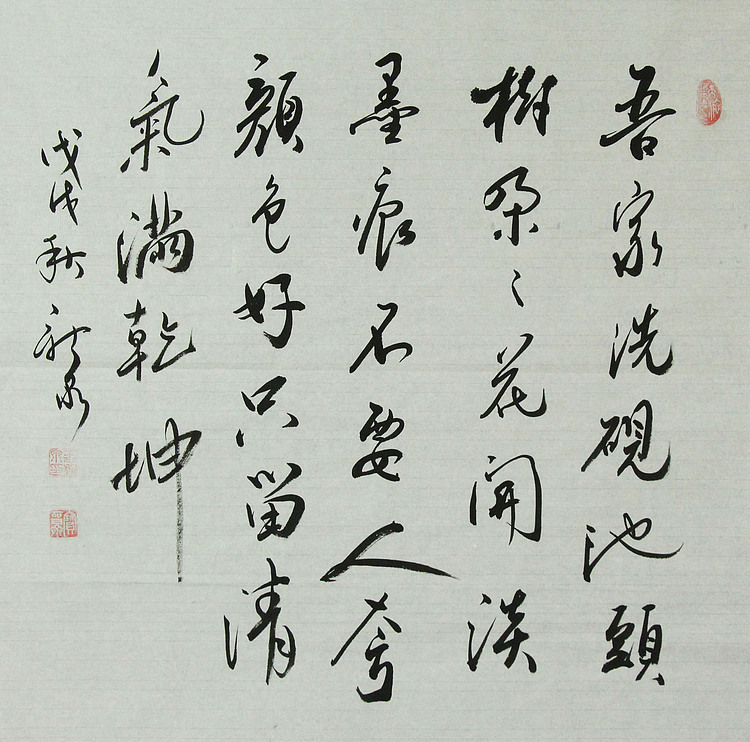 中国书法家协会会员 王新泉