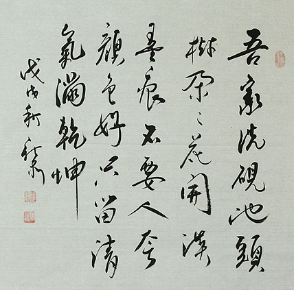 中国书法家协会会员 王新泉