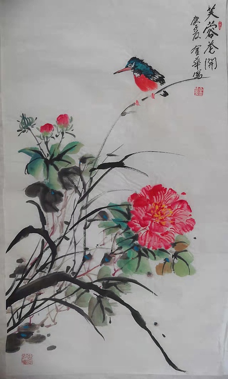 金华 芙蓉花开42