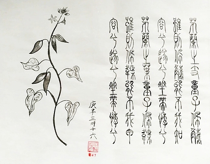 江秋月 兰