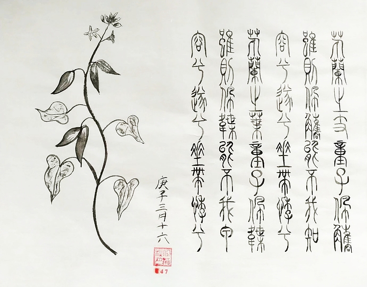 江秋月 兰