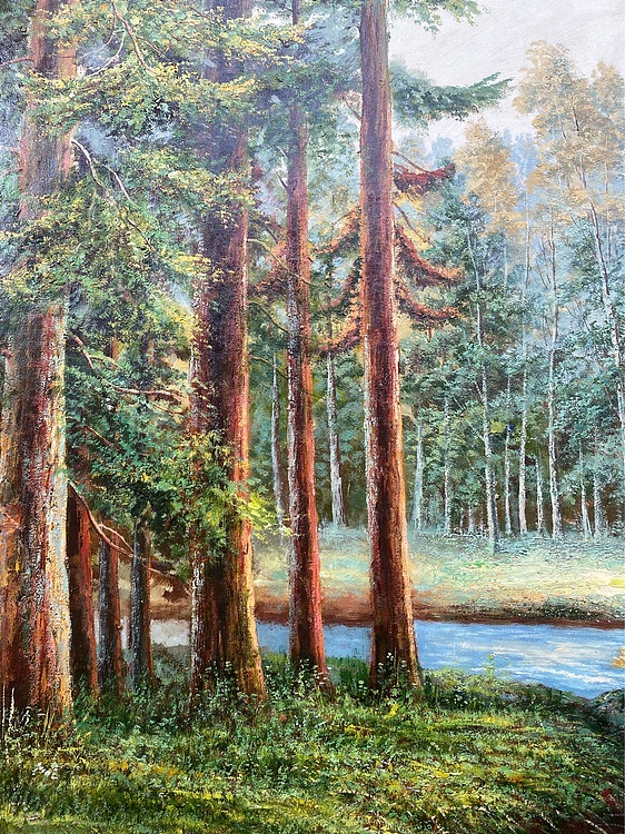 风景