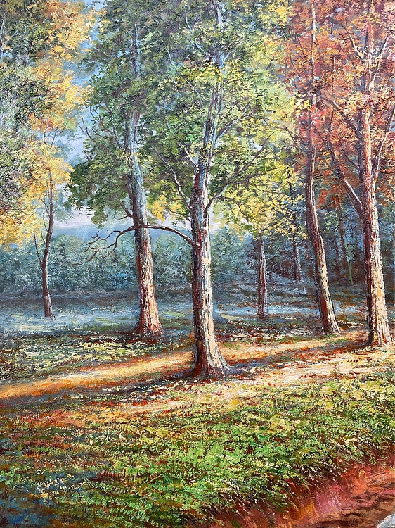 风景