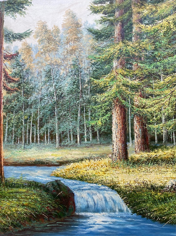 风景