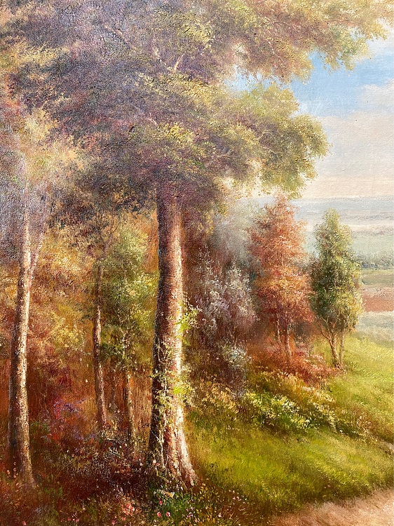 风景