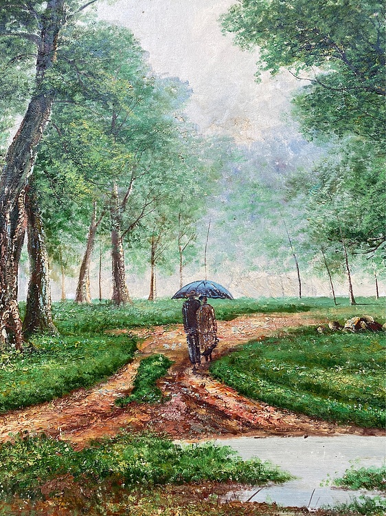 雨后森林