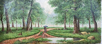 雨后森林