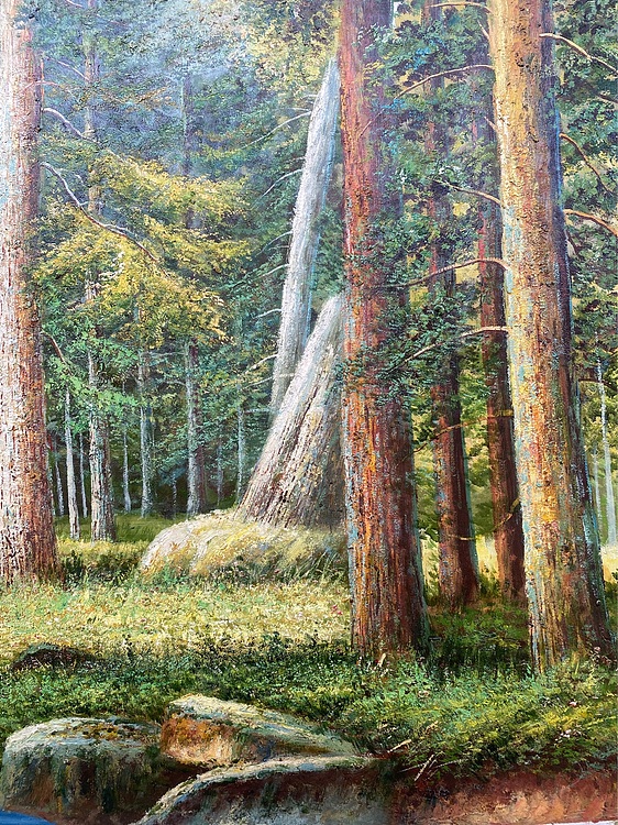 风景