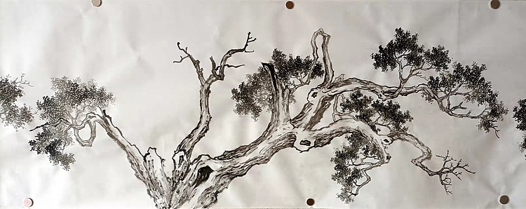 青年书画家 七汐 仿沈周三桧图长卷