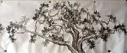 青年书画家 七汐 仿沈周三桧图长卷