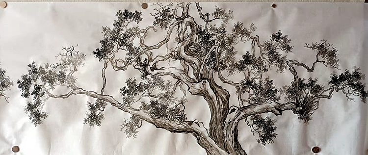 青年书画家 七汐 仿沈周三桧图长卷