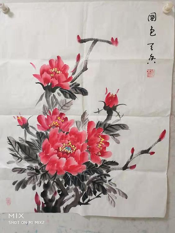 曼雪 国色天香