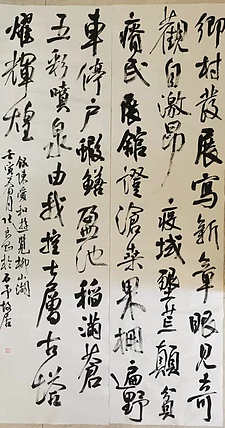 淮河居士 陈爱河游览柳珊瑚