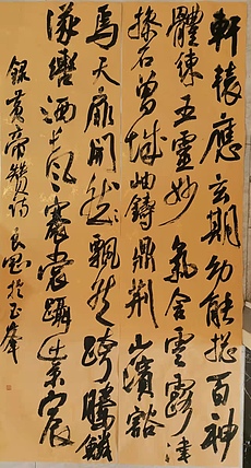江苏省青年书法家协会会员  淮河居士 皇帝赞诗2