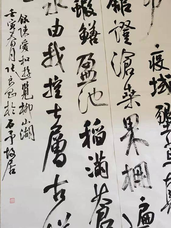 淮河居士 陈爱河游览柳珊瑚