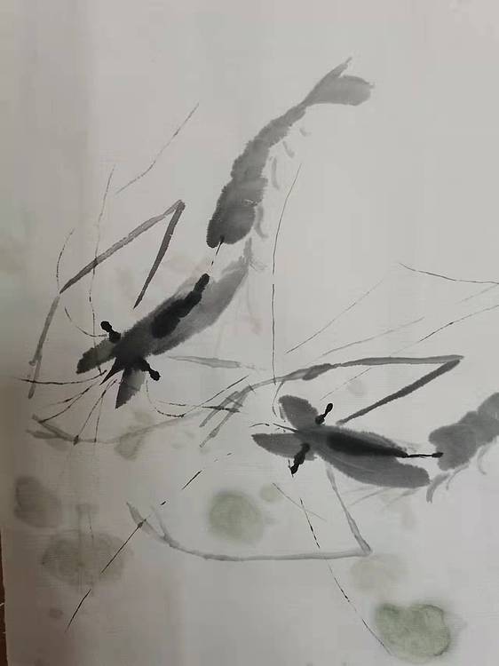 秦广宁 水墨虾