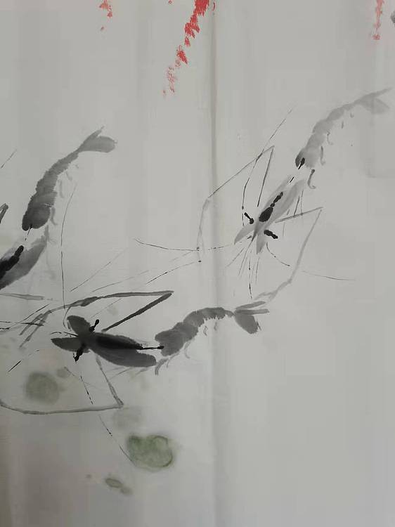 秦广宁 水墨虾