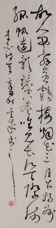 当代实力派青年艺术家 艺术学博士后 中美协中书协双会员 苏轼后人 苏金成 书法作品
