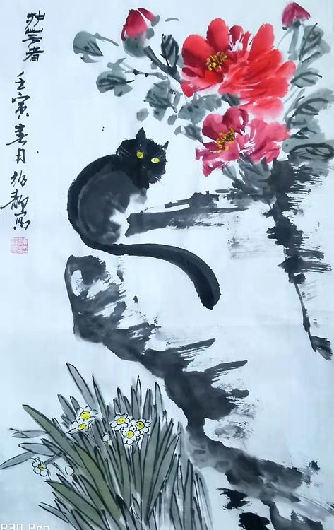 绍静 猫