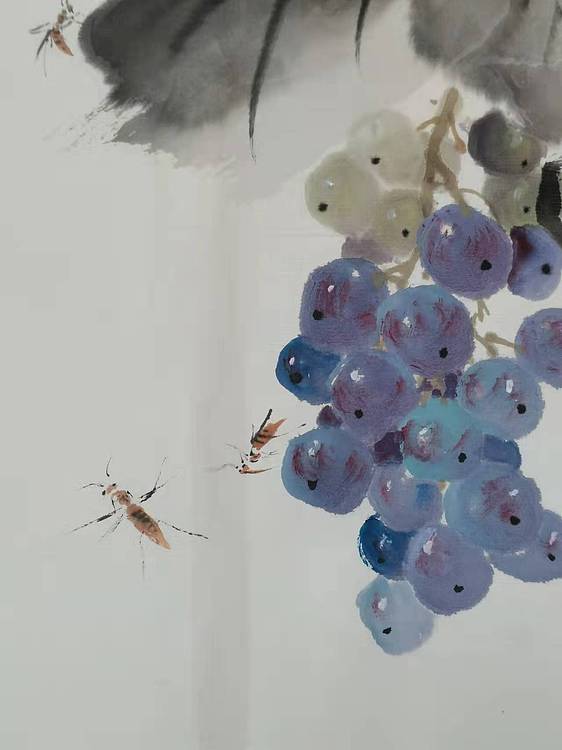 秦广宁 秦广宁，国画葡萄