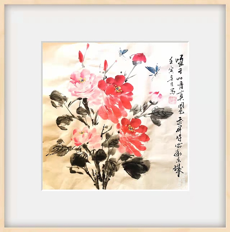 绍静 牡丹