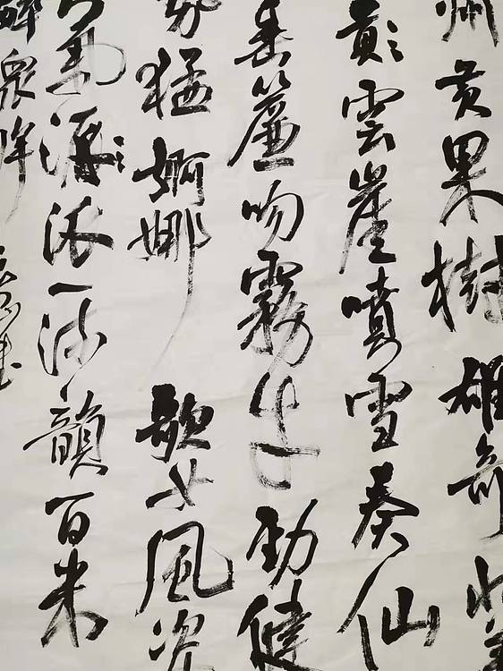 淮河居士 贵州诗