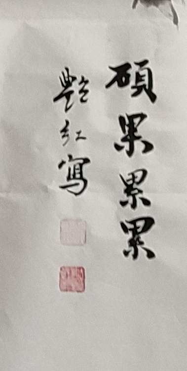 陈艳红 硕果累累