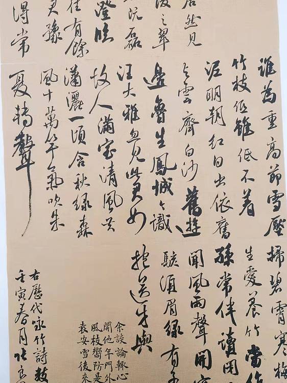 江苏省青年书法家协会会员  淮河居士 咏竹诗2
