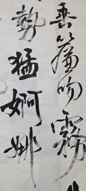 淮河居士 百米画廊