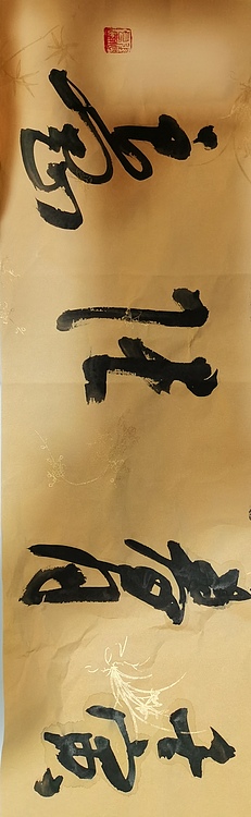 淮河居士 天行健