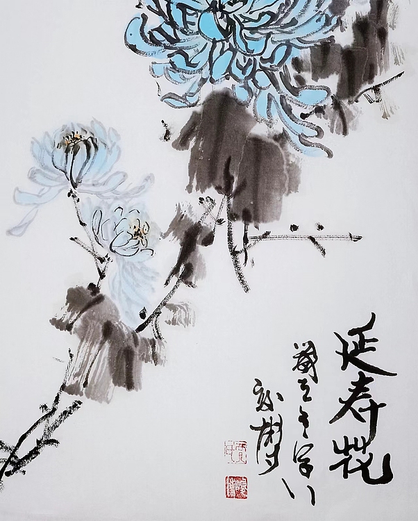 贾竣博 延寿花