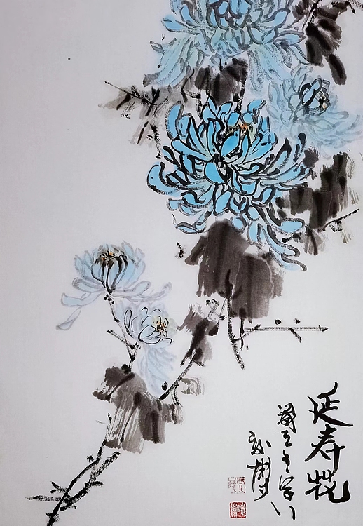 贾竣博 延寿花