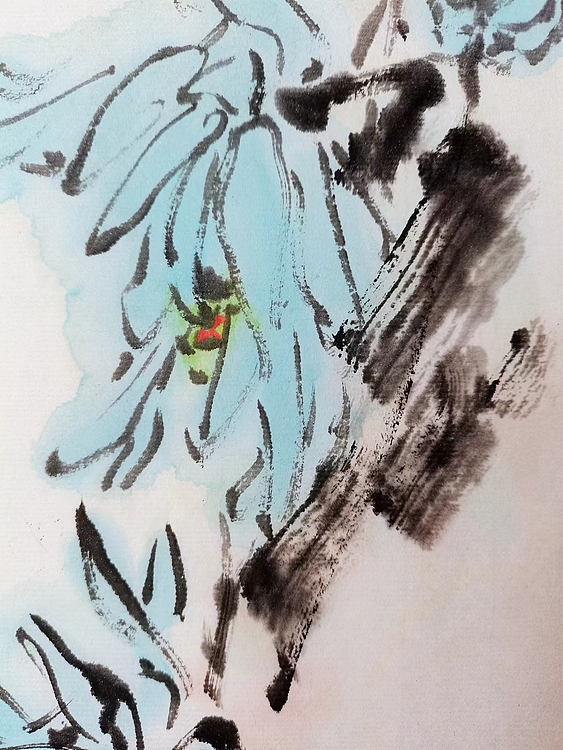 贾竣博 蓝菊