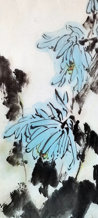 贾竣博 蓝菊