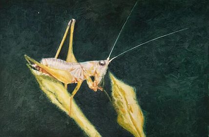 胡冰 纯手绘精品油画《蝈蝈》