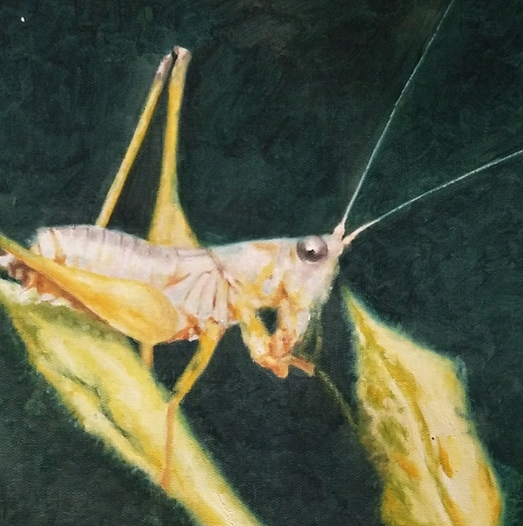 胡冰 纯手绘精品油画《蝈蝈》