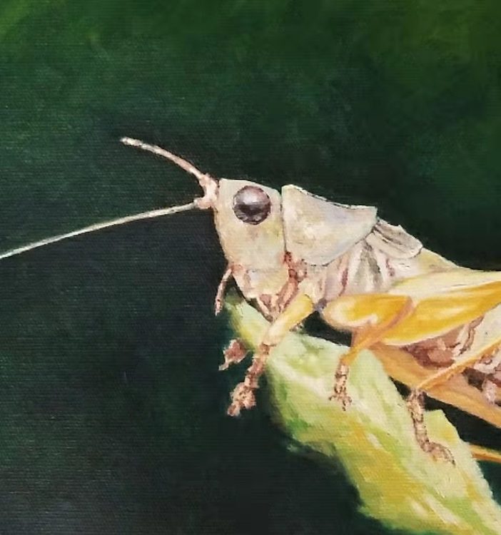 胡冰 纯手绘精品油画《蝈蝈》
