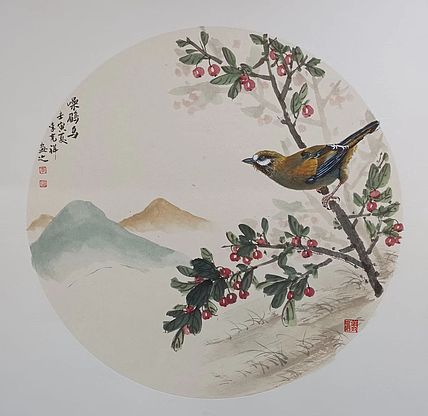 翱翔 灰椋鸟