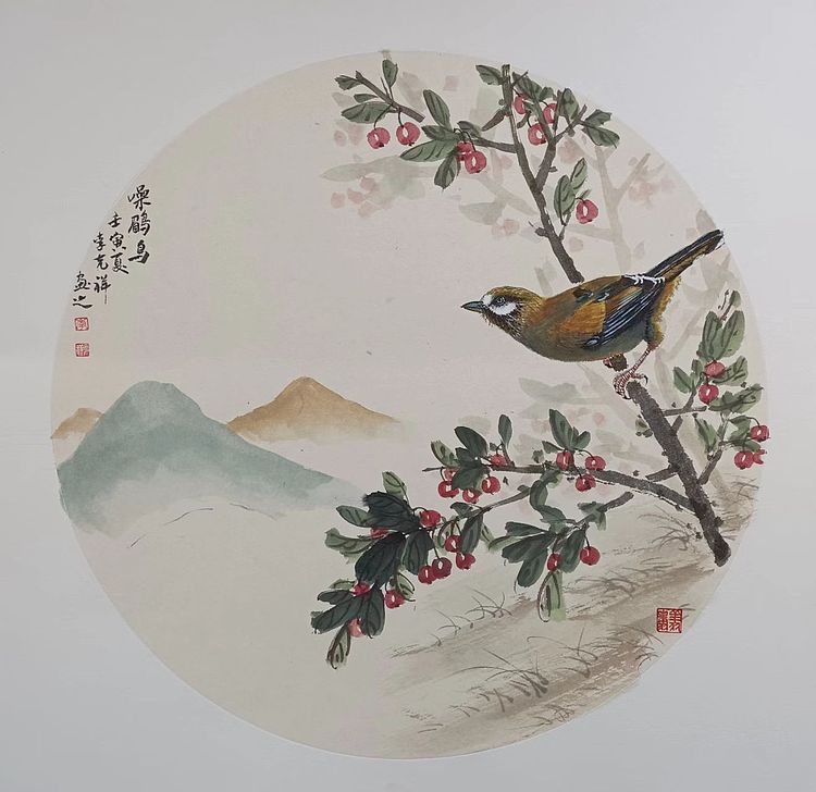 翱翔 灰椋鸟