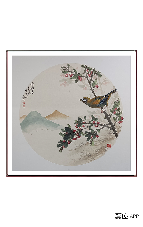 翱翔 灰椋鸟