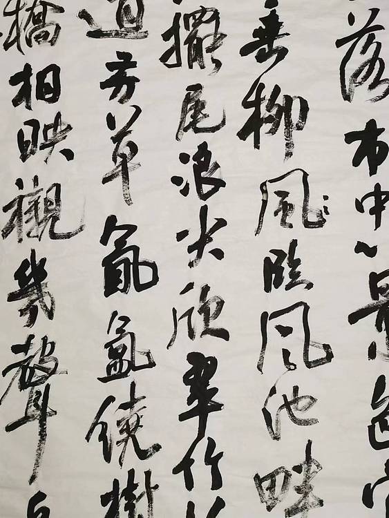 淮河居士 赞市民公园