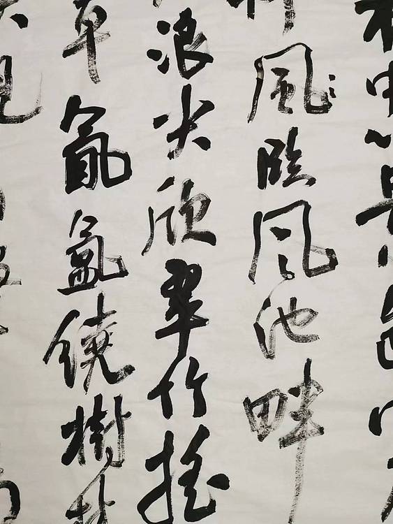 淮河居士 赞市民公园