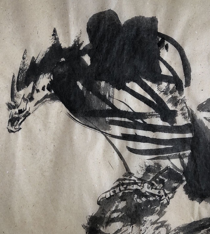 中国书画收藏家协会会员 泓靖 闲观云物