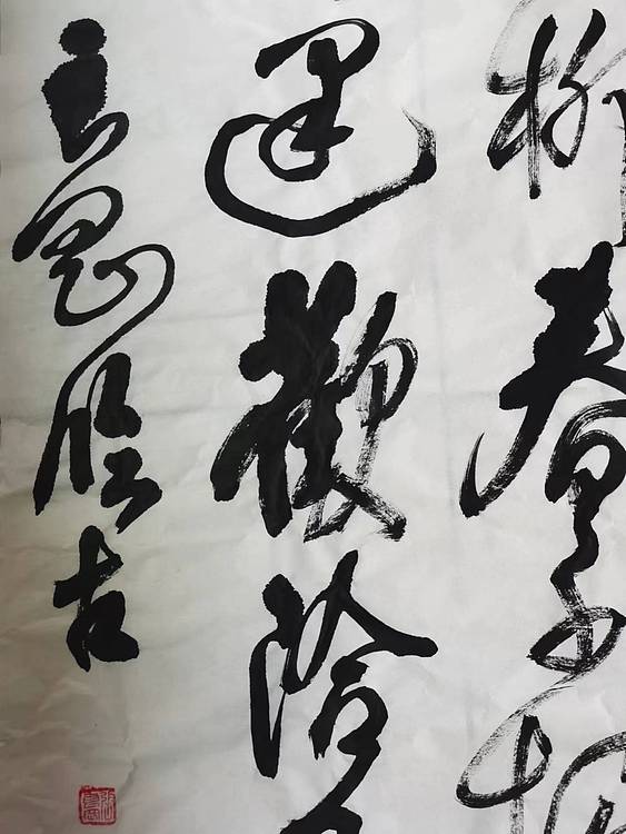 淮河居士 争歌杨柳